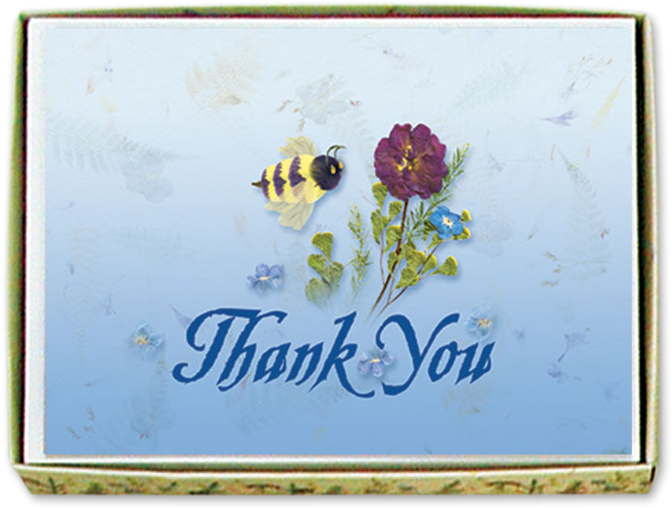 Bumble Bee Thank You Cards Image - Bumblebee (800x800), Png Download