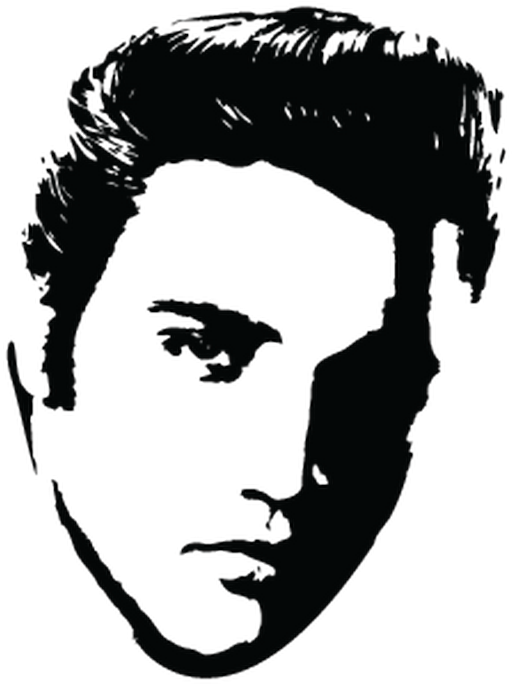 Elvis Presley Camping Car Decal - Fondos De Pantalla Elvis Presley (800x800), Png Download