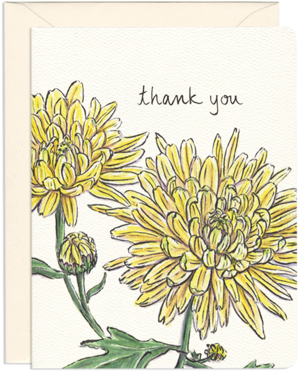 Chrysanthemum Thank You Card - Greeting Card (600x600), Png Download