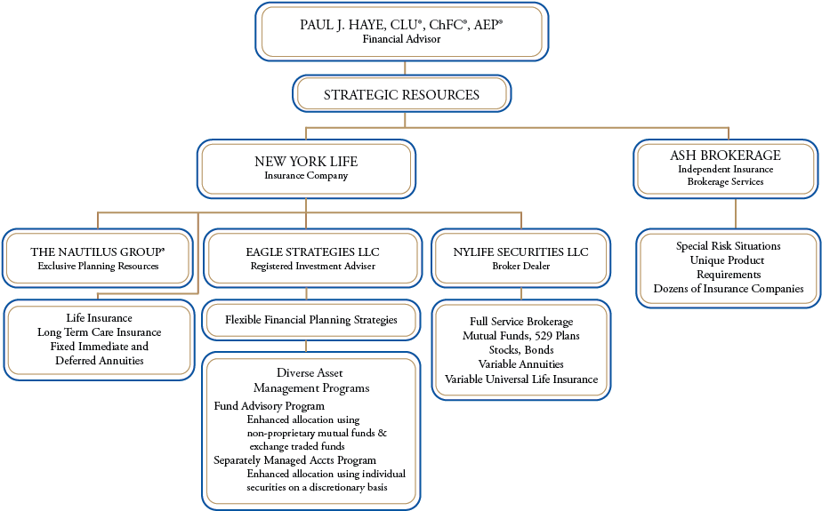 New York Life - Strategic Alliance Insurance Carriers Organization (936x633), Png Download