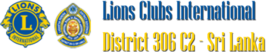 Skip To Content - Lions International Square Sticker 3" X 3" (940x198), Png Download