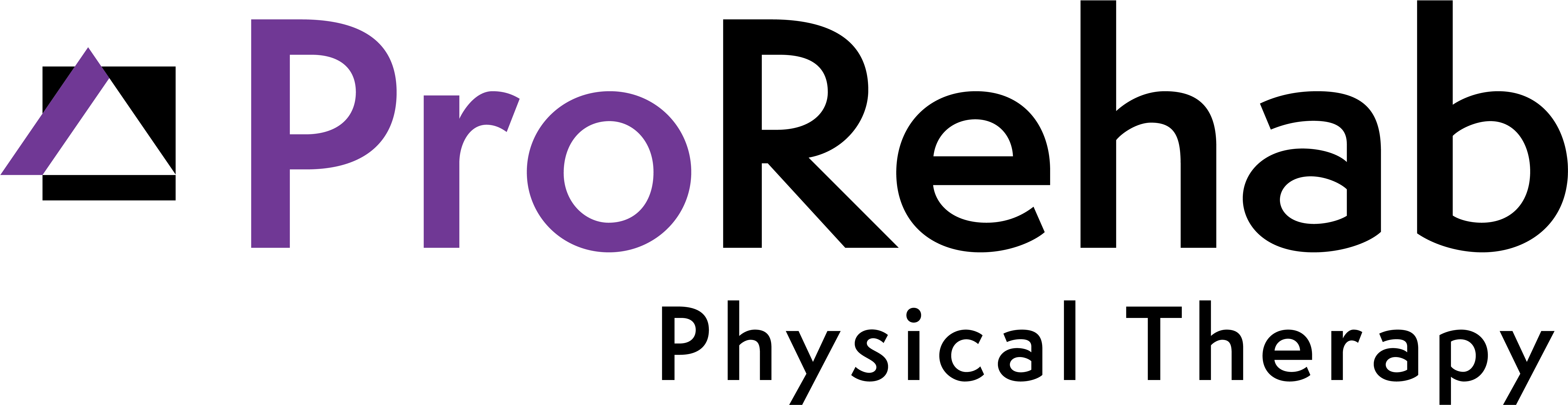 Download Prpt Prorehab Physical Therapy Full Size PNG Image PNGkit