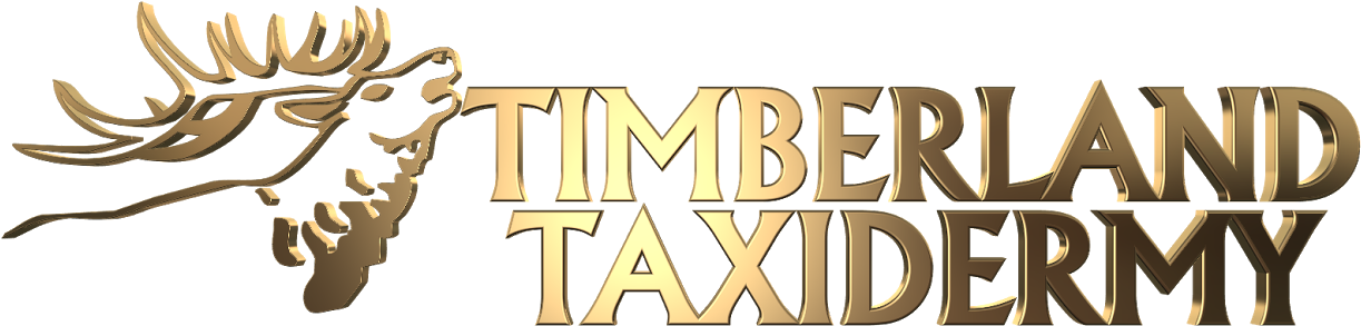 Timberland Taxidermy - Logo (1480x832), Png Download