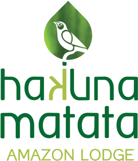 Hakuna Matata The Gate To The Amazon - Graphic Design (350x350), Png Download