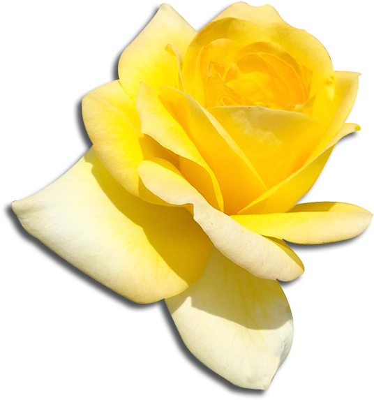 Sigma Gamma Rho - Sigma Gamma Rho Png (600x600), Png Download