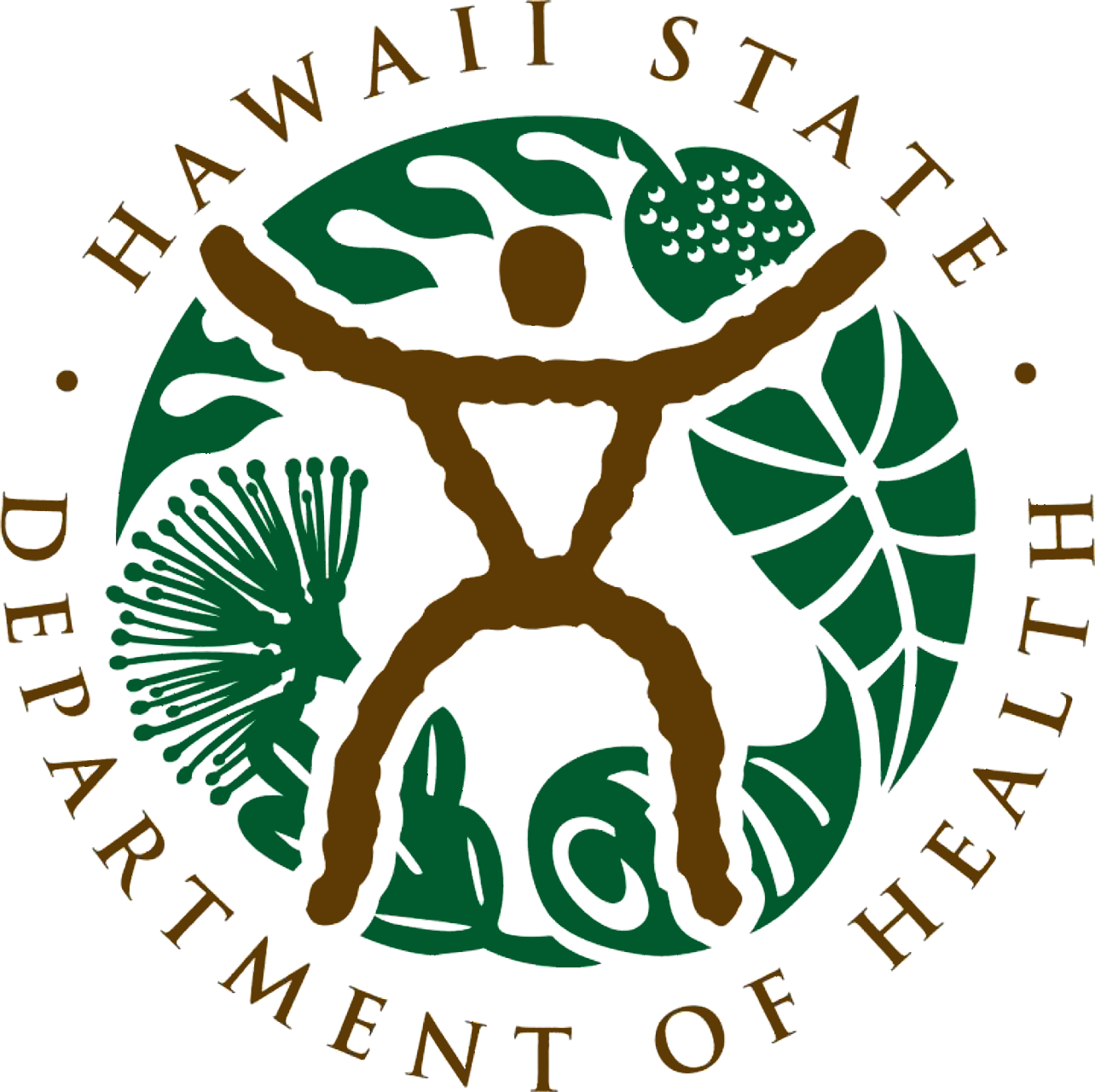 Hawaii State Department Of Health Logo - State Of Hawaii Department Of Health Logo (1284x1280), Png Download