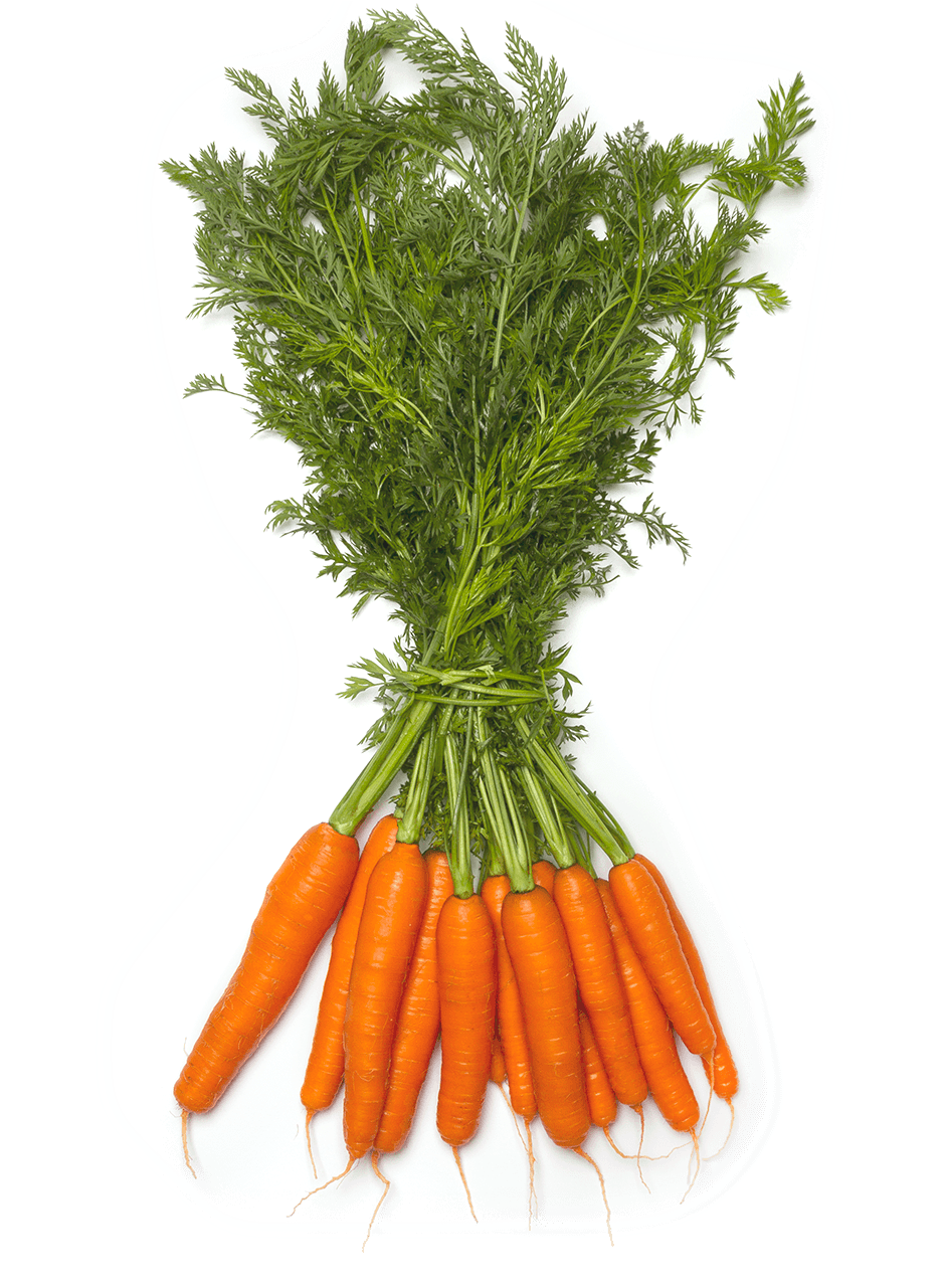 Productos Que Se Venden Por Manojo Png (1500x1282), Png Download
