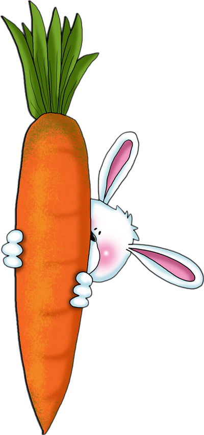 Rabbit With Carrot Drawing (400x850), Png Download