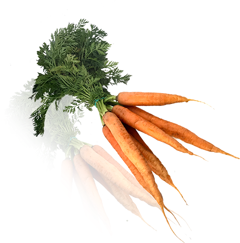 Zanahoria Manojo Bio - Baby Carrot (500x500), Png Download