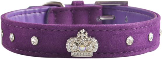 Velvet Dog Collar ~ Purple With Diamantes - Dog Collar (555x700), Png Download