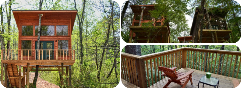 Best Treehouse Hotels In The World - Cottage (800x300), Png Download