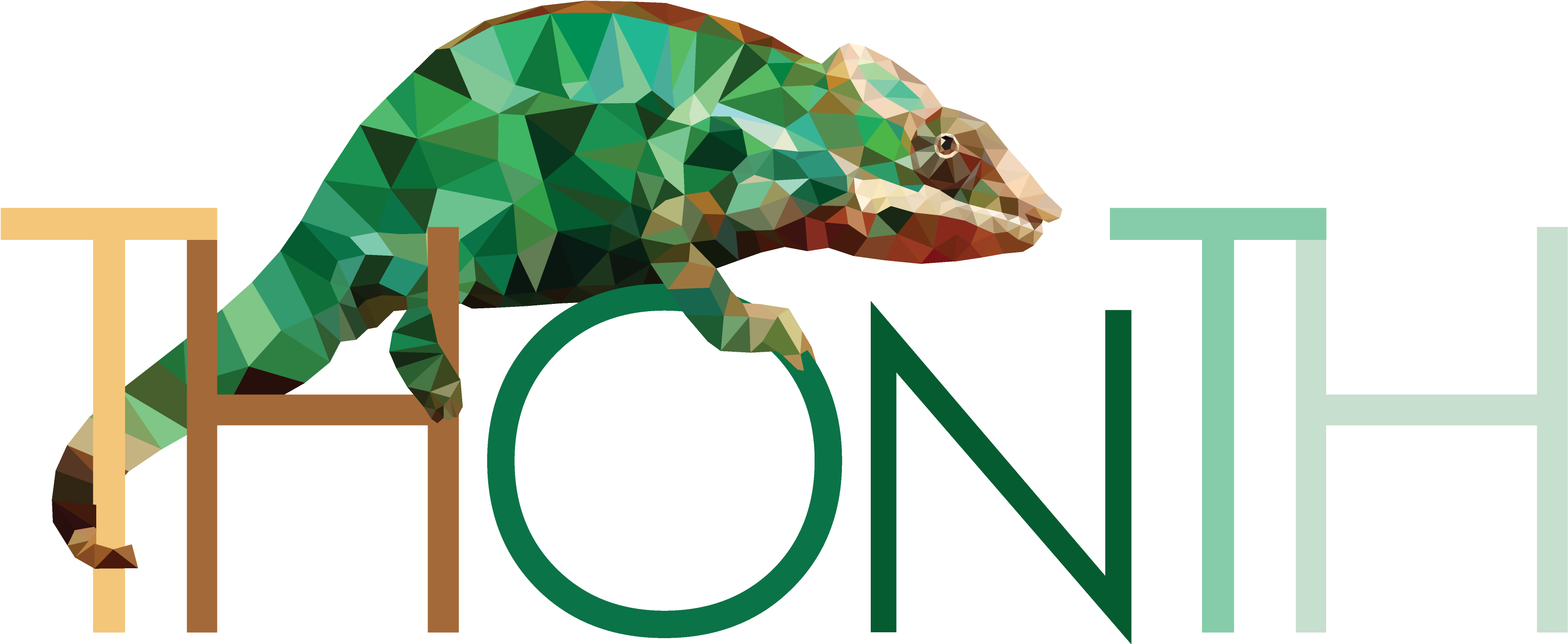 Thonth - Common Chameleon (3700x1450), Png Download