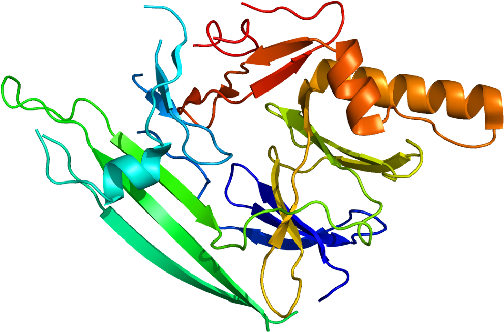 Protein Ern1 Pdb 2hz6 - Turtwig (1040x702), Png Download
