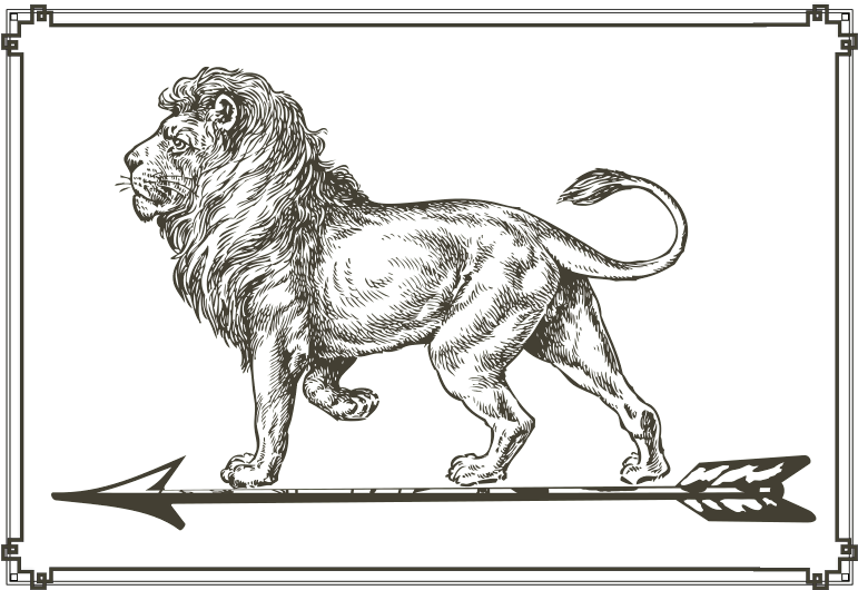 This Graphics Is The Lion Is In The Arrowhead About - Lion Full Body Drawing (800x568), Png Download