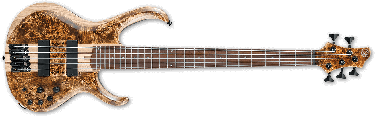 Btb845v Bass Workshop - Richard Kruspe Signature Guitar (1340x466), Png Download