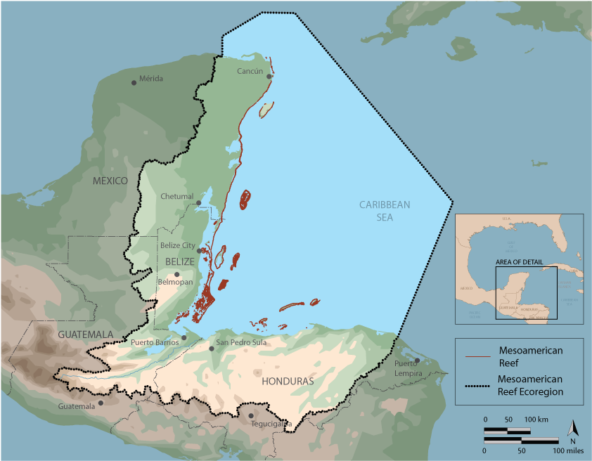 Mexico, Belize, Guatemala And Honduras, Committed To - Mesoamerican Reef Location (915x746), Png Download