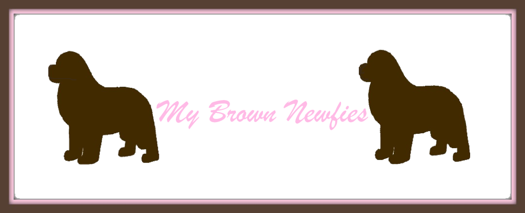 Picnik Collage 55 Logo1 - Newfie Pawprints Rectangle Magnet (1024x417), Png Download