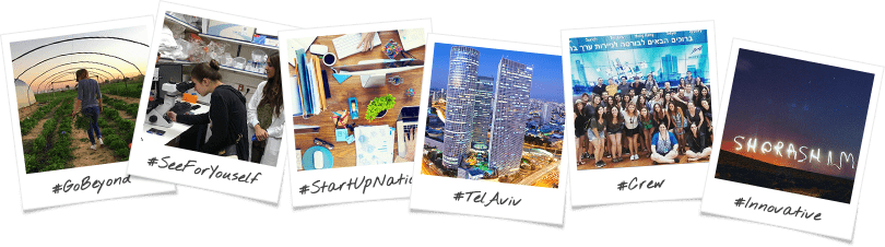 New York Community - Leading Self-organising Teams [book] (810x226), Png Download