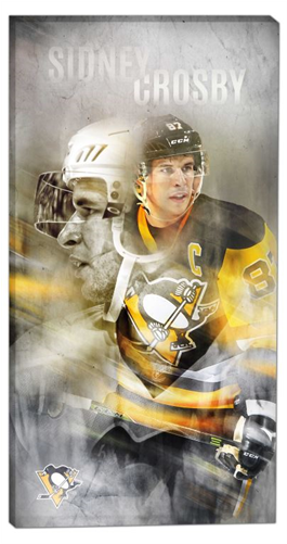 Pittsburgh Penguins Sidney Crosby Frameworth 14x28 (500x500), Png Download