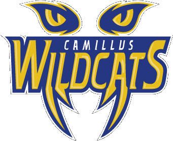 Welcome To The Camillus Wildcats 12u Cooperstown Team - Camillus Baseball (528x301), Png Download