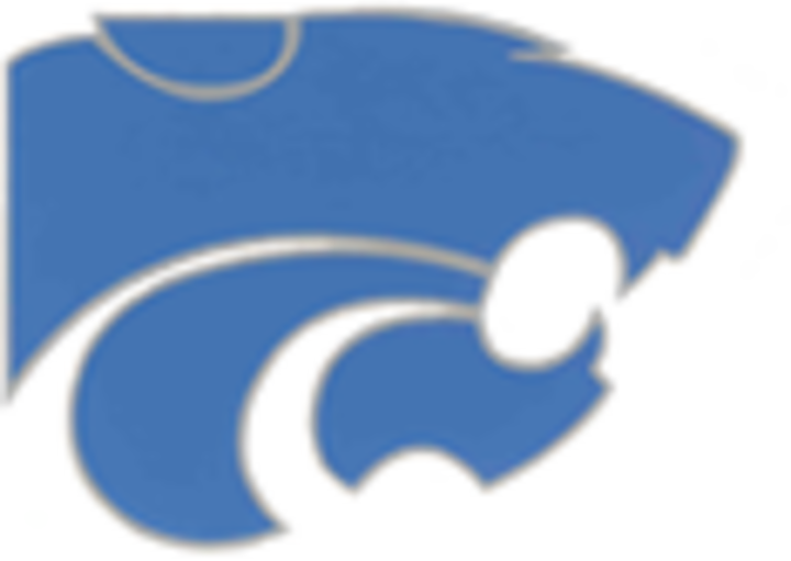 Wildcat Clipart Soccer - Centreville Wildcats (720x511), Png Download