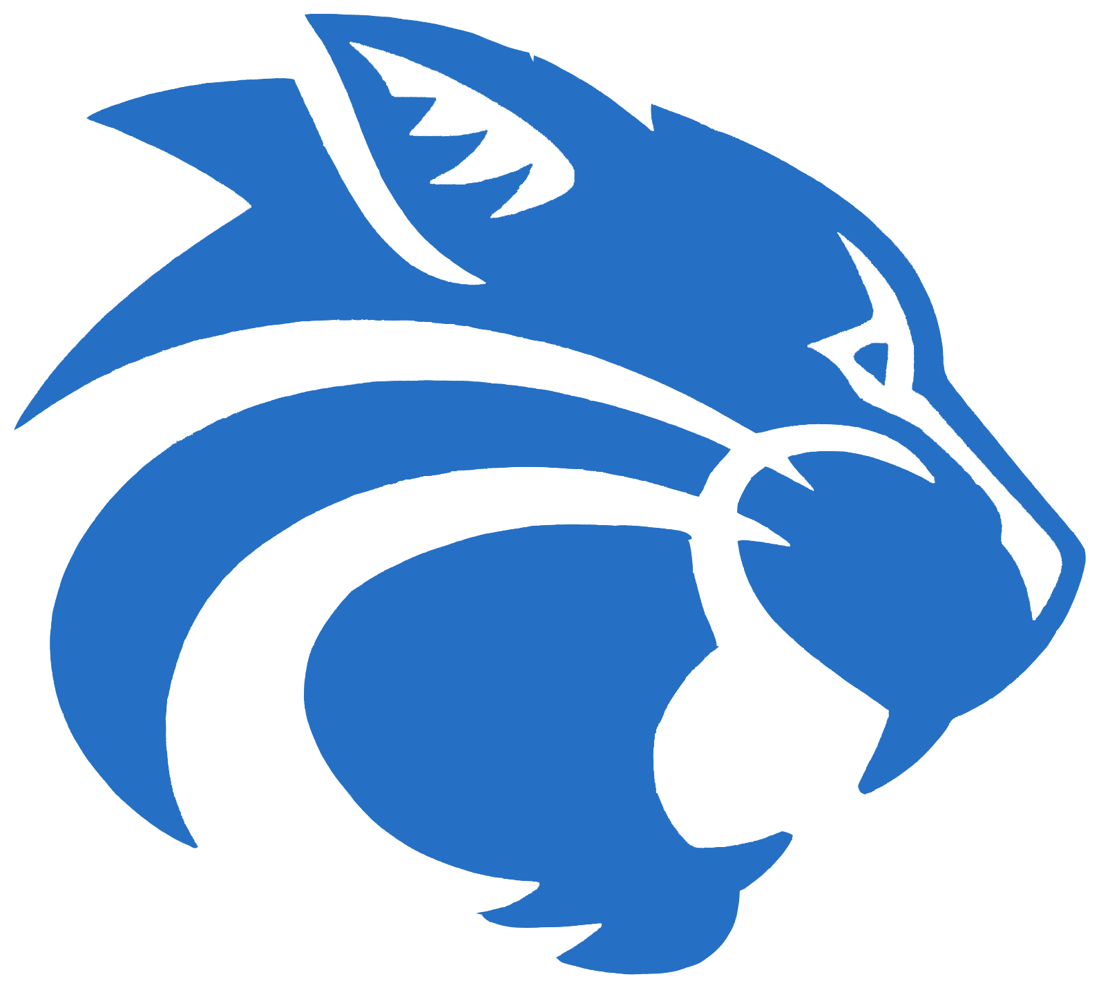 Wildcat Clipart Locust Grove - Richmond Hill High School Wildcats (1681x1517), Png Download