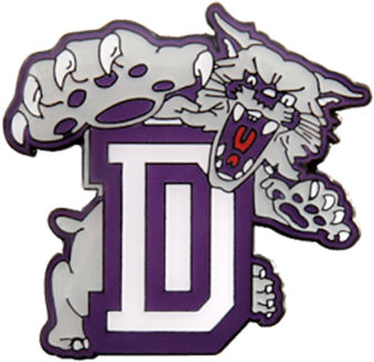 Duluth Youth Basketball - Duluth Wildcats (600x380), Png Download