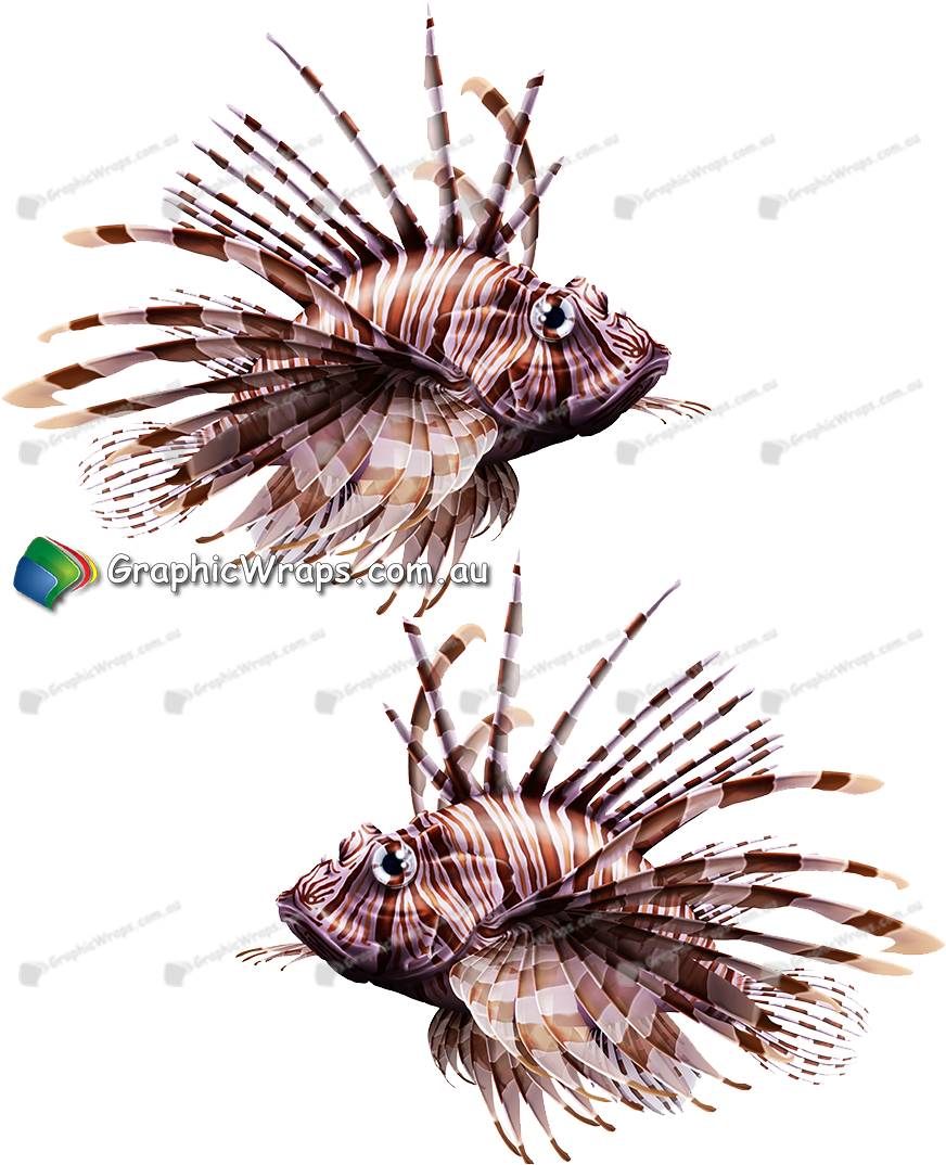 Lion Fish - Lionfish (884x1073), Png Download