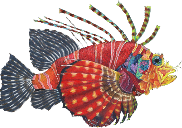 Bleed Area May Not Be Visible - Lionfish (600x435), Png Download