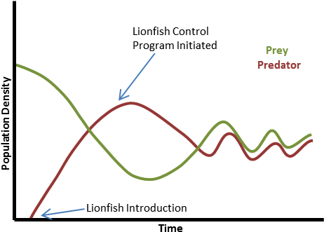 Lionfish Population Dynamics - Diagram (480x345), Png Download