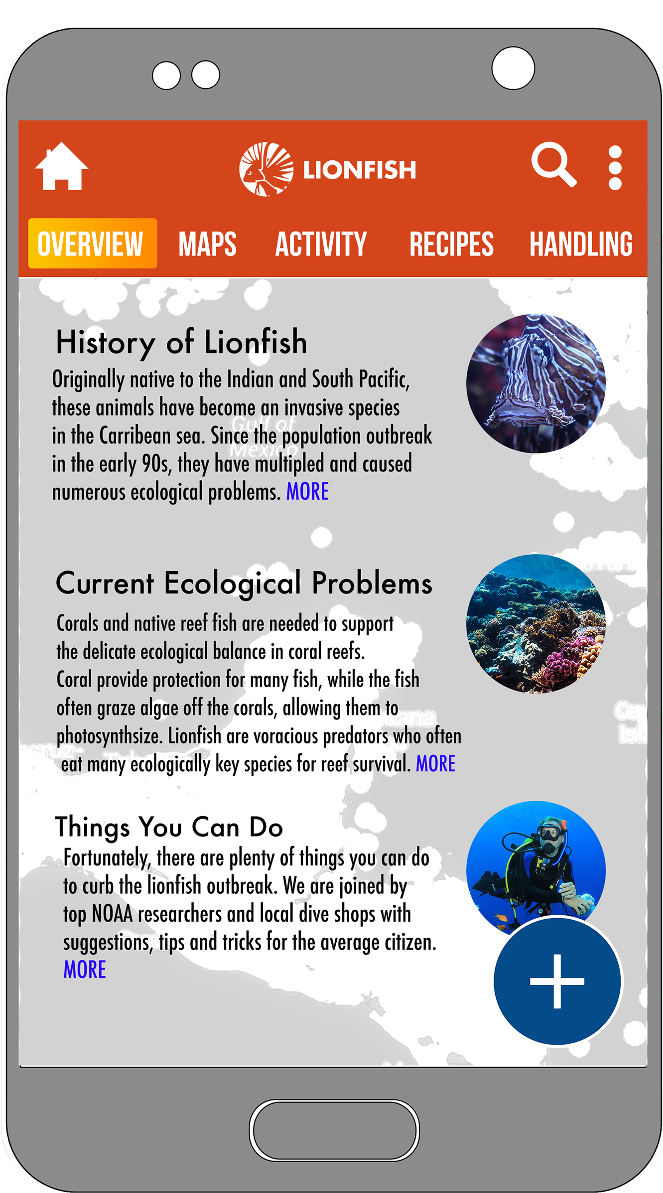 Lionfish App Screens - Lionfish (1920x2485), Png Download