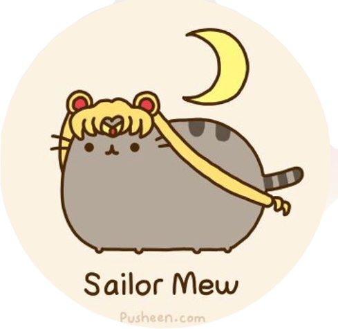 Pusheen The Cat Sailor Moon (489x475), Png Download