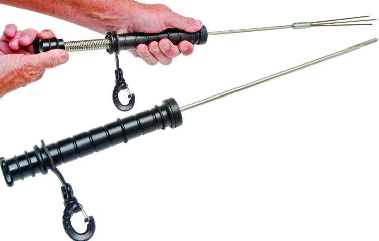 Elf - Elf Lionfish (600x382), Png Download