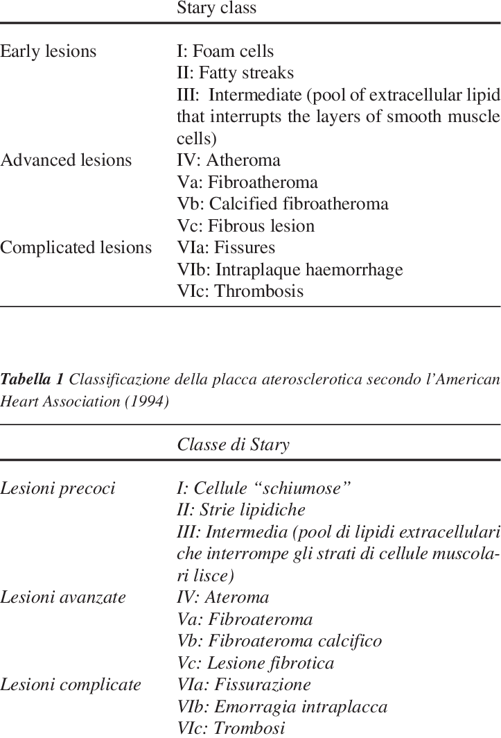 American Heart Association Classification Of Atherosclerotic - Aha Classification Of Atherosclerosis (723x1064), Png Download