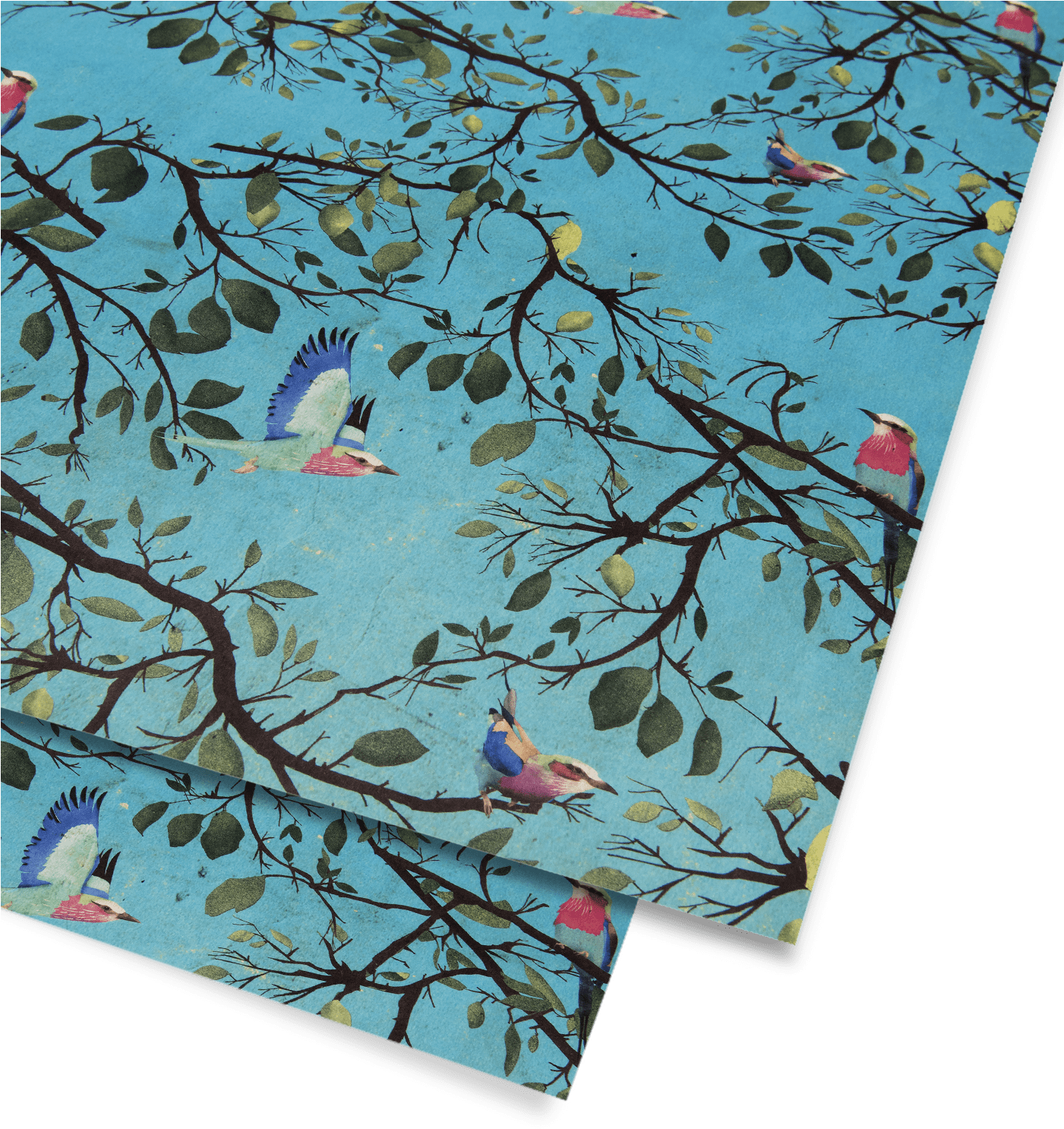 Turquoise Holler Bird Gift Wrap (1400x1500), Png Download