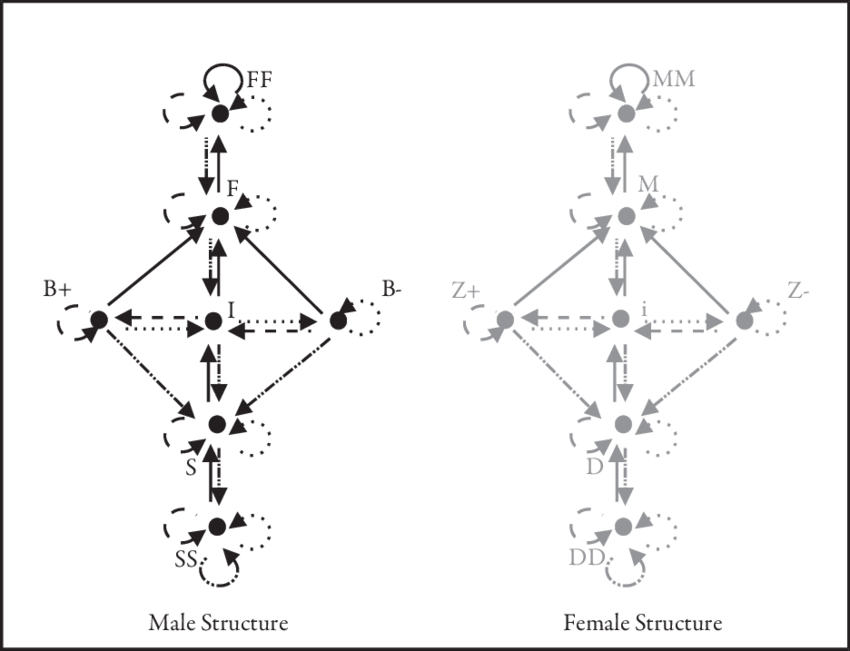 Algebra Of Male Elements And Algebra Of Female Elements - Diagram (850x651), Png Download