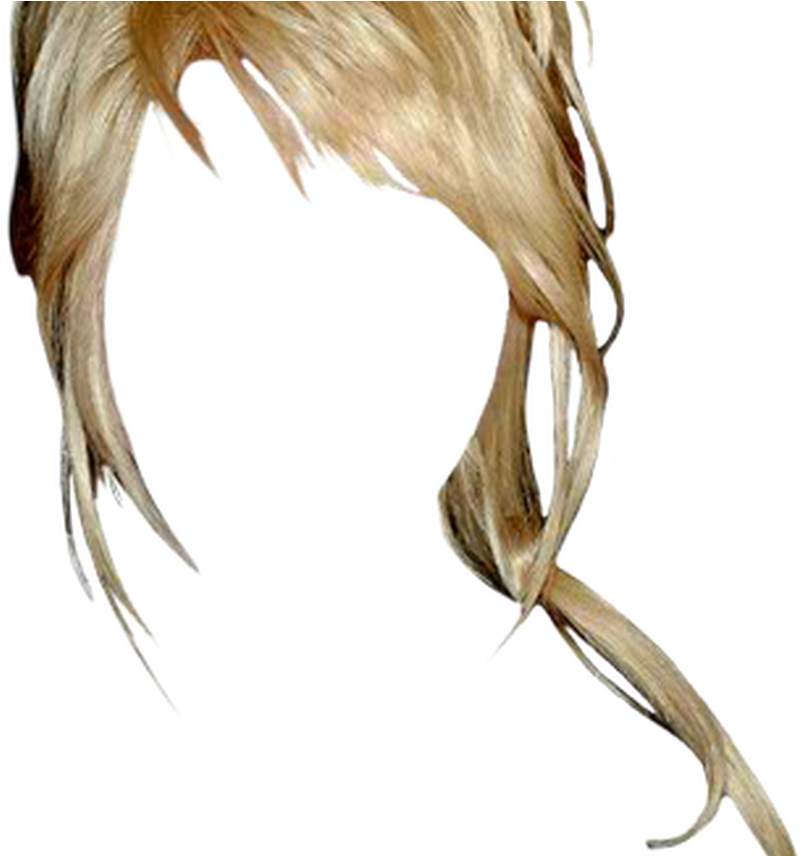 Dolly Parton Long Straight Casual Updo Hairstyle With - Updo (1368x855), Png Download