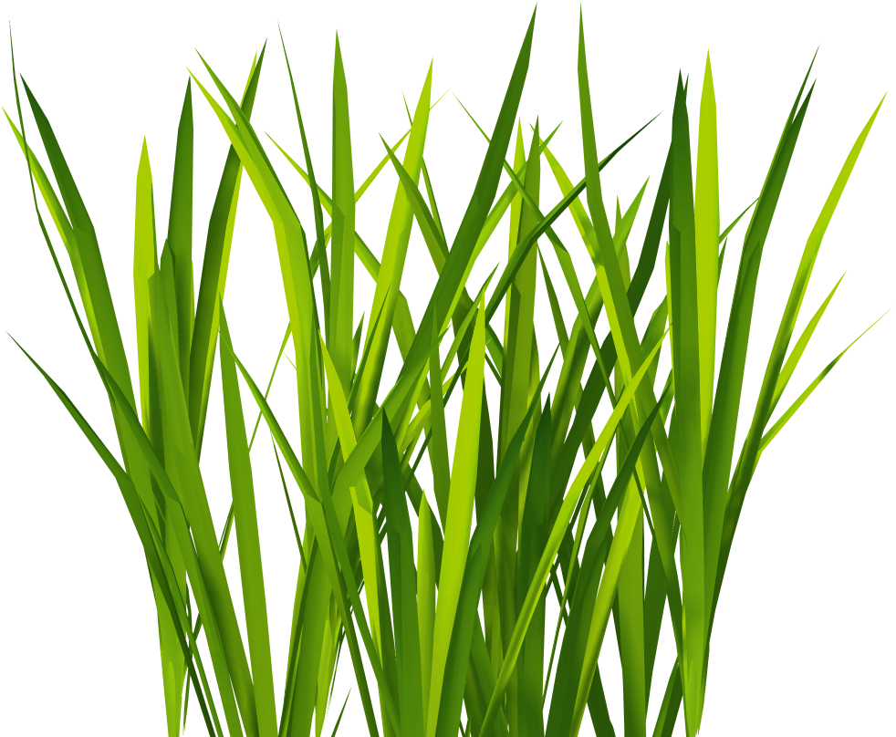 3d Gameready Textures - Grass Png (1024x1024), Png Download
