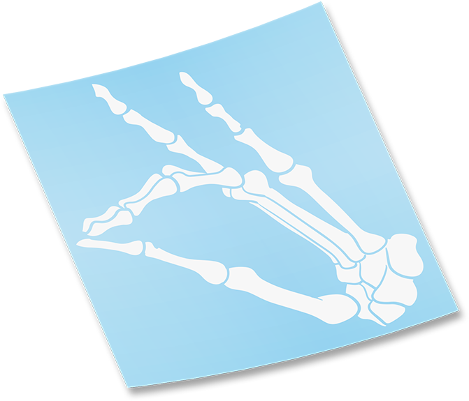 Kitsune (700x700), Png Download