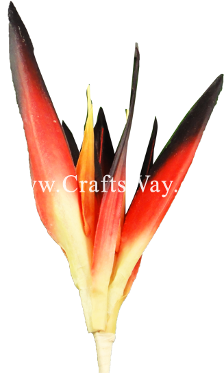 Click To Enlarge] - Heliconia (550x550), Png Download