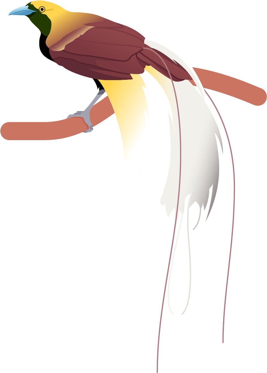Greater Bird Of Paradise Poster - Illustration (1641x2201), Png Download