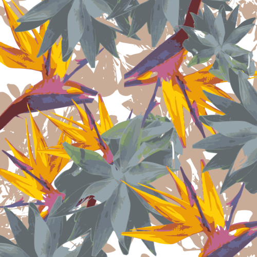 Agave + Paradiesvogel Quadratische Wanduhr (500x500), Png Download