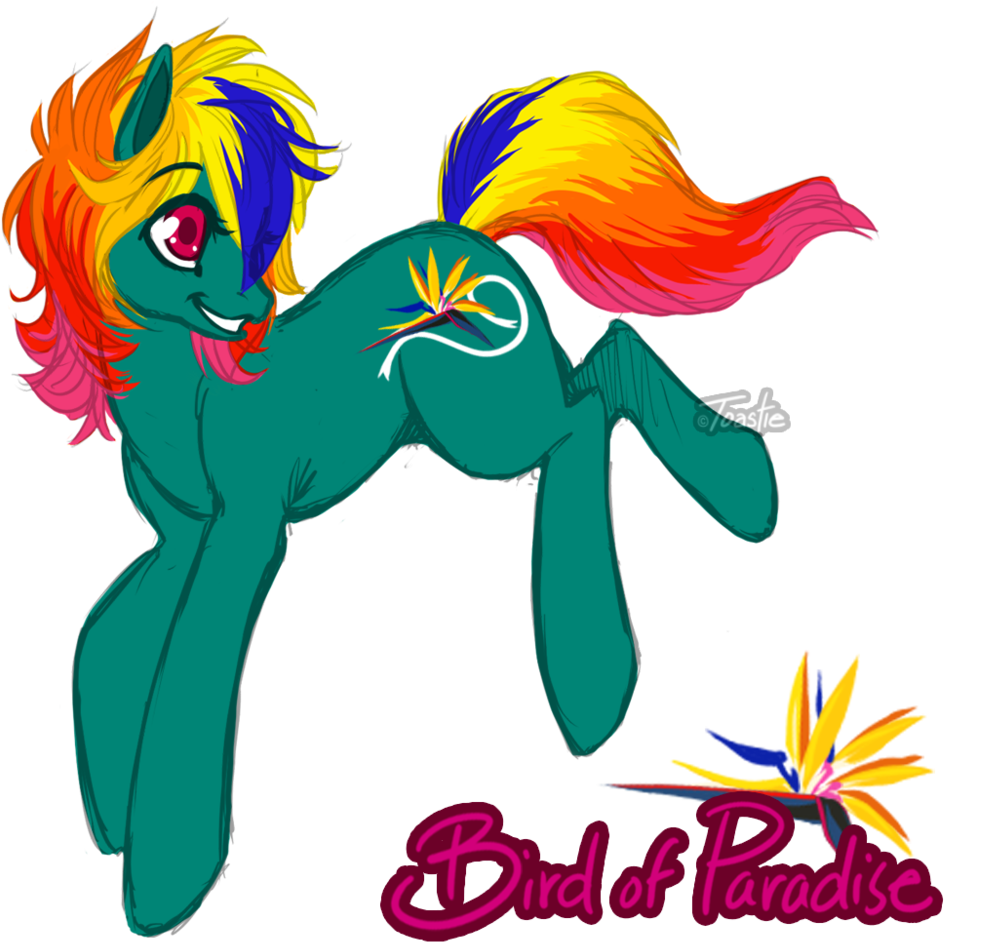 Toastiepony, Bird Of Paradise, Earth Pony, Female, (1057x1024), Png Download