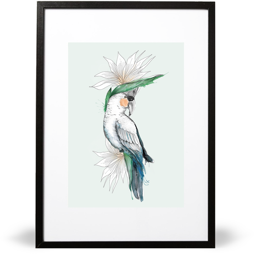 Bird Of Paradise Illustrative Print - Bird-of-paradise (859x1024), Png Download