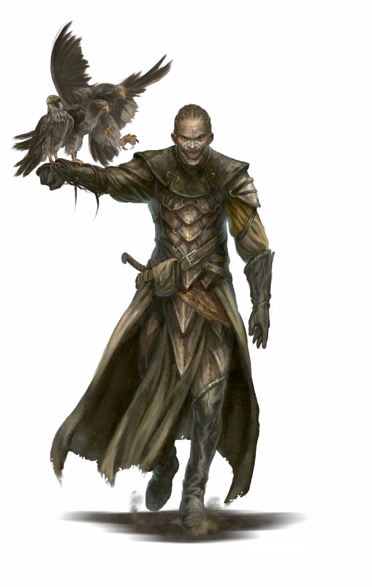 Wizard Necromancer Magicien Nécromancien - Necromancer Rpg (767x1209), Png Download