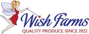 A Growing Company - Wish Farms Strawberries, California - 16 Oz (600x300), Png Download