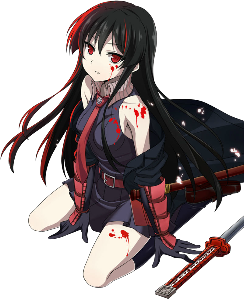 Akame Png - Akame Ga Kill Akame Render (810x987), Png Download