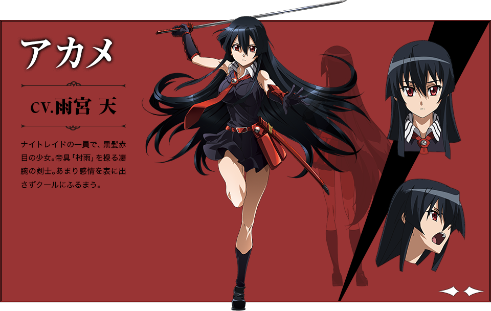 Akame Ga Kill Characters