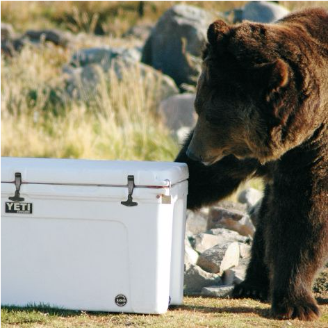 Our - Camping (778x471), Png Download