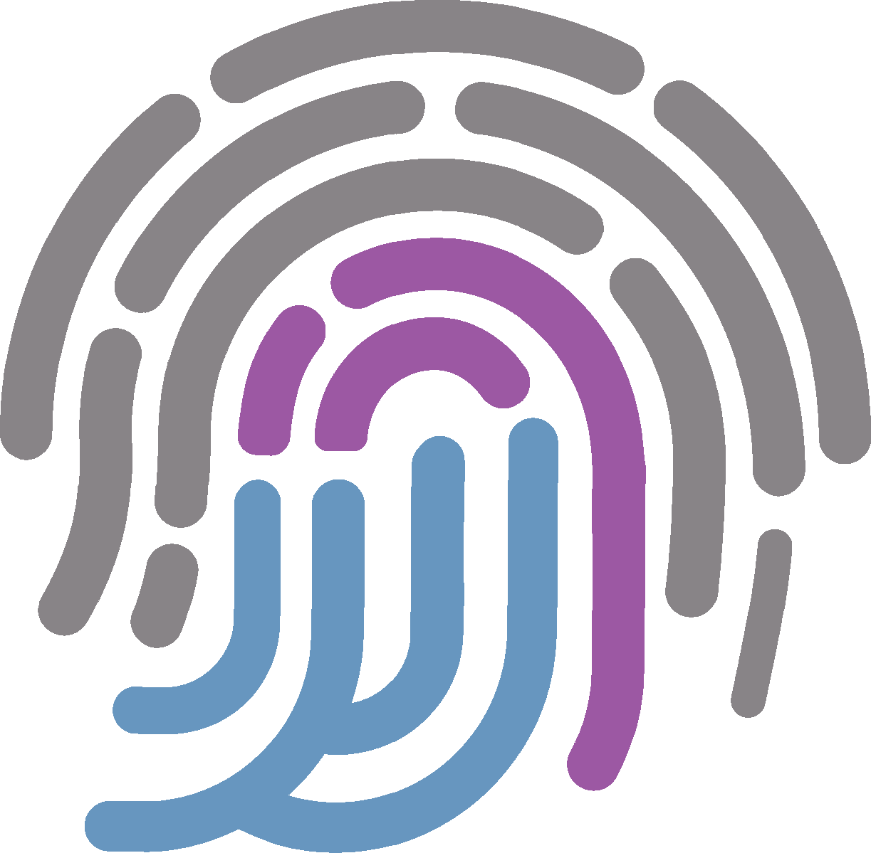 Irvine Seo, Web Design, Digital Marketing, Branding - Logo (1223x1199), Png Download